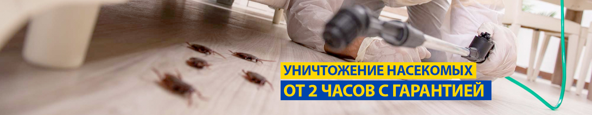 Уничтожение насекомых