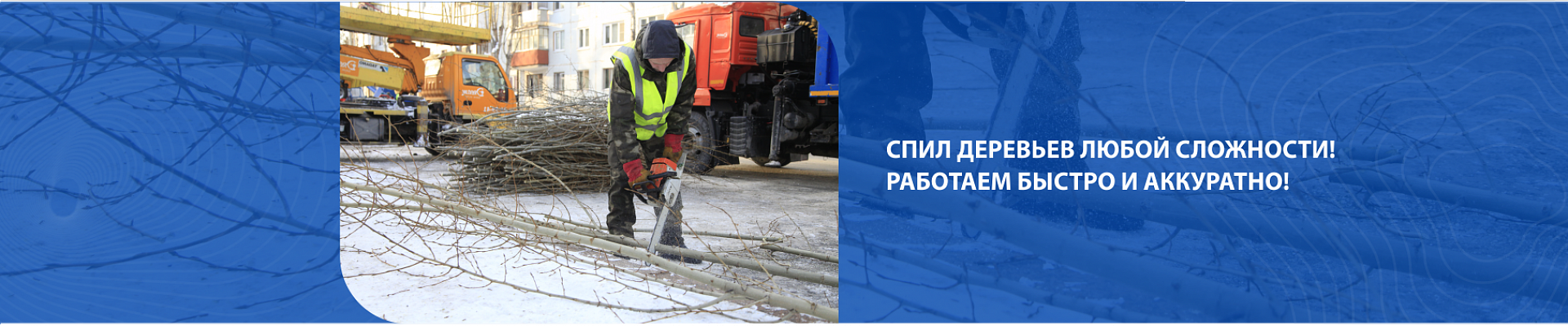 Спил деревьев